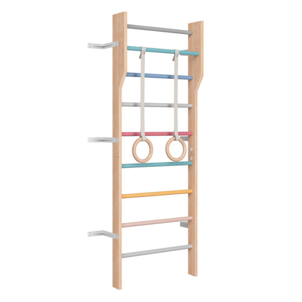 Ezzro Multicolor Modern Scandinavian Ladder Gym - Laadlee