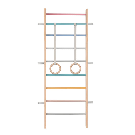 Ezzro Multicolor Modern Scandinavian Ladder Gym - Laadlee