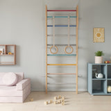Ezzro Multicolor Modern Scandinavian Ladder Gym - Laadlee