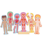 Hape Human Body Magnetic Puzzle - 68Pcs