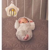Hape Music Box Baby Crib & Stroller Toy