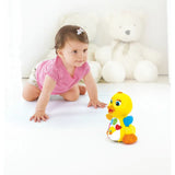 Hola Dancing Duck Interactive Toy