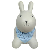 kindsgut-bouncing-animal-bunny-2