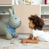 kindsgut-bouncing-animal-bunny-4