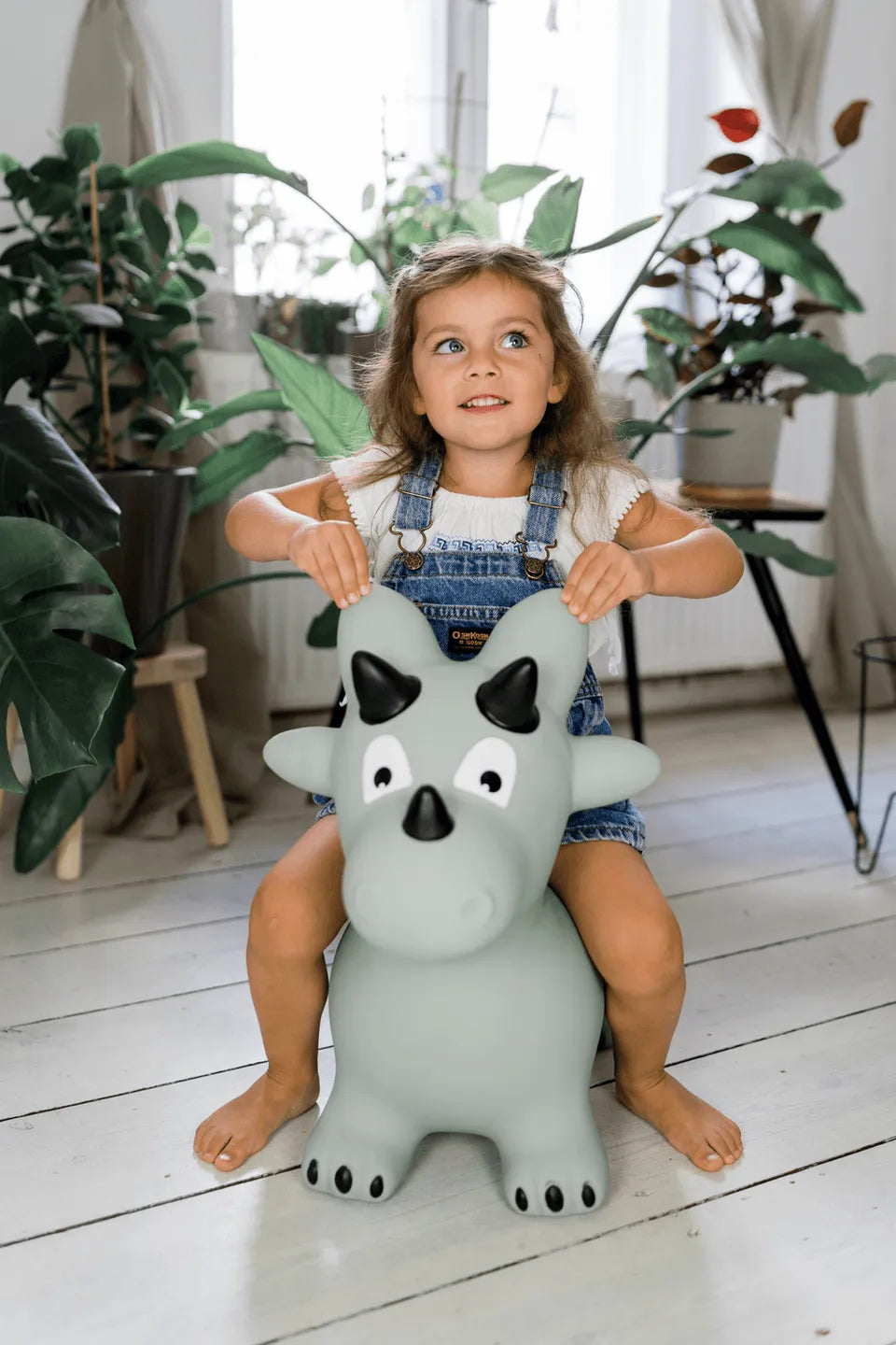 kindsgut-bouncing-animal-dinosaur-5