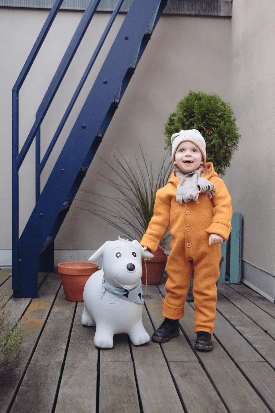 kindsgut-bouncing-animal-dog-5