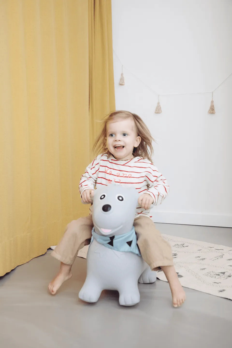 kindsgut-bouncing-animal-dog-7