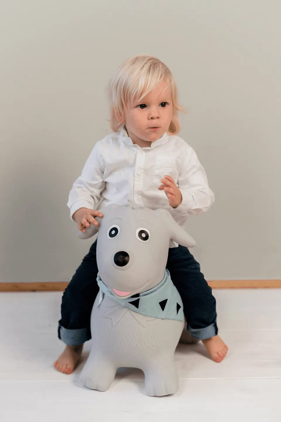 kindsgut-bouncing-animal-dog-4