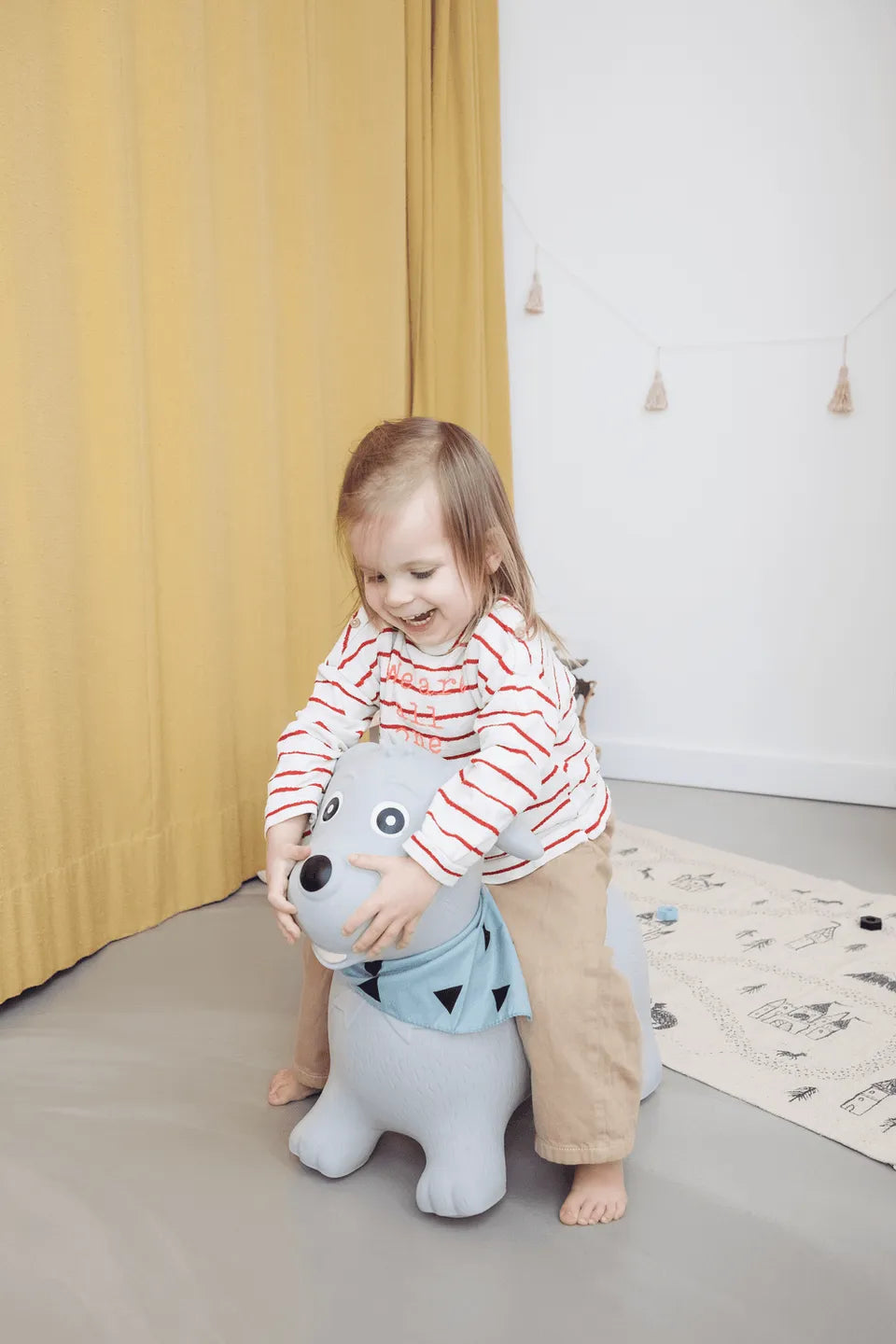 kindsgut-bouncing-animal-dog-6