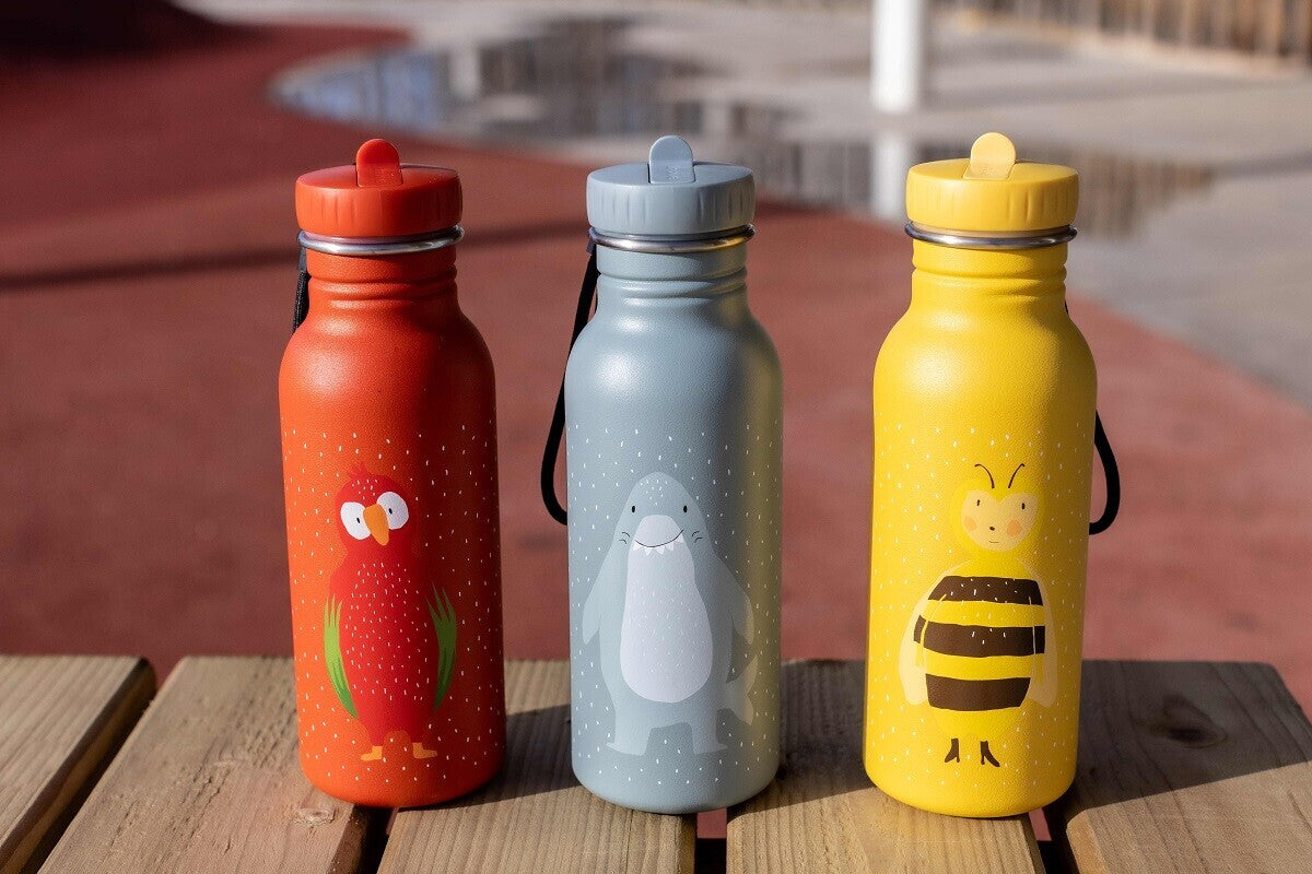 Trixie Stainless Steel Bottle 500ml - Mrs. Bumblebee