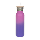 Lassig Double Walled Stainless Steel Bottle 460ml - Unique Gradient Purple