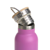 Lassig Double Walled Stainless Steel Bottle 460ml - Unique Gradient Purple
