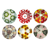 Mideer Kaleidoscope - Bear