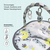 Moon A Good Night Baby Playmat & Activity Gym