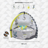 Moon A Good Night Baby pool With Playmat & Activity Gym