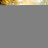 Moon Jet Plus Twin Buggy Travel Stroller - Yellow