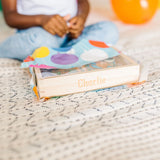 Melissa and Doug Wooden Animal Magnets