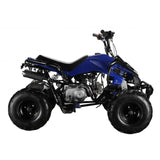 MYTS 125cc Quad ATV Bike With Reverse For Kids - Blue