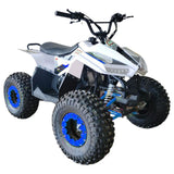 MYTS 80CC Automatic Offroad ATV Quad Bike - Blue