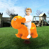 MYTS Outdoor Cat Spring Rider