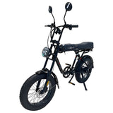 MYTS Speed Pro Fat Tire 1000W Snowmobile Electric Bicycle 48V