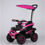 MYTS Girl's 4-In-1 Ride-On Push Car With Canopy And Safety Handle - Pink