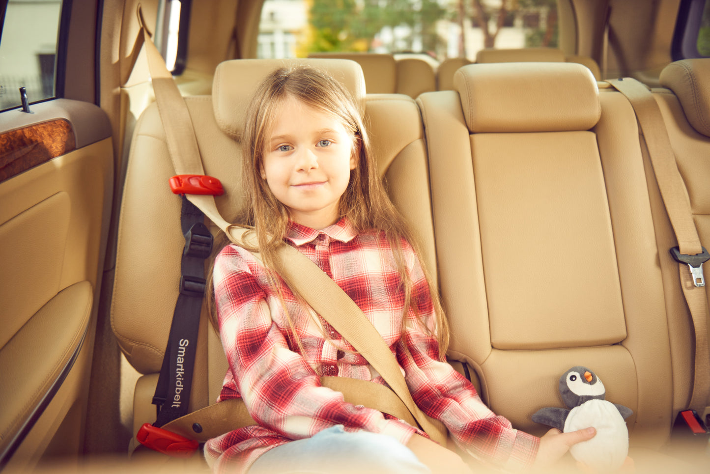 Smart Kid Belt - Child Restraint System