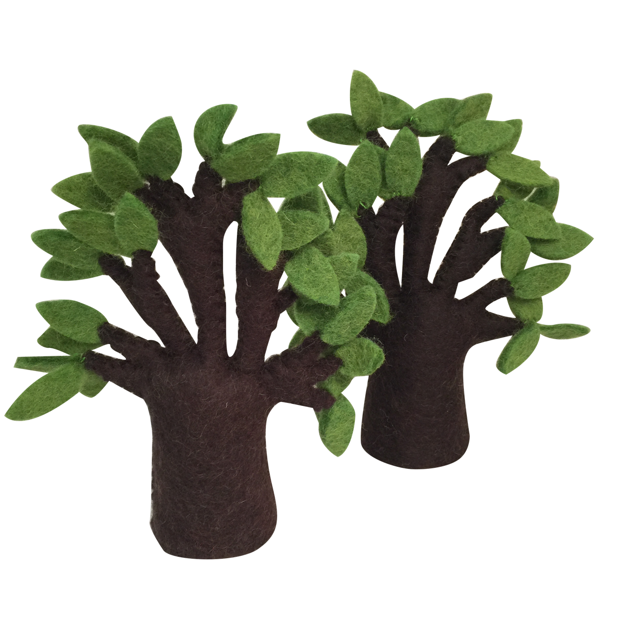 Papoose Baobab Tree - Pack of 2