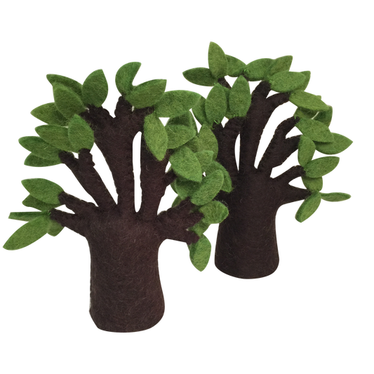 Papoose Baobab Tree - Pack of 2