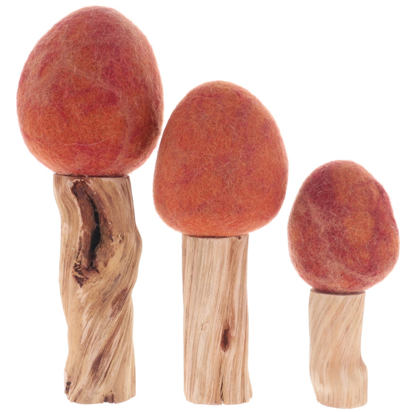 Papoose Autumn Trees - Pack of 3