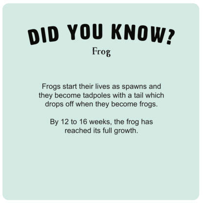 The Crush Series The Crush Series Quiz Cards (76 Cards) - Laadlee