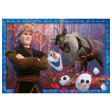 Ravensburger DFZ2: Frosty Adventures 2x24 pc