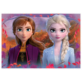 Ravensburger DFZ2: Journey into the Unknown 2x12pc