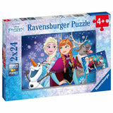 Ravensburger DFZ: Northern Lights 2x24 pc