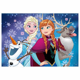 Ravensburger DFZ: Northern Lights 2x24 pc