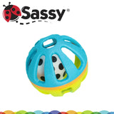 Sassy Squish & Chime Ball