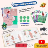 Smartivity Human Body DIY STEM Kit