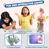 Smartivity Human Body DIY STEM Kit
