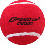 sports-plus-t-20-wooden-cricket-set-value-4