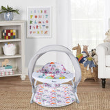 Teknum Portable Baby Seat With Detachable Tray - Grey