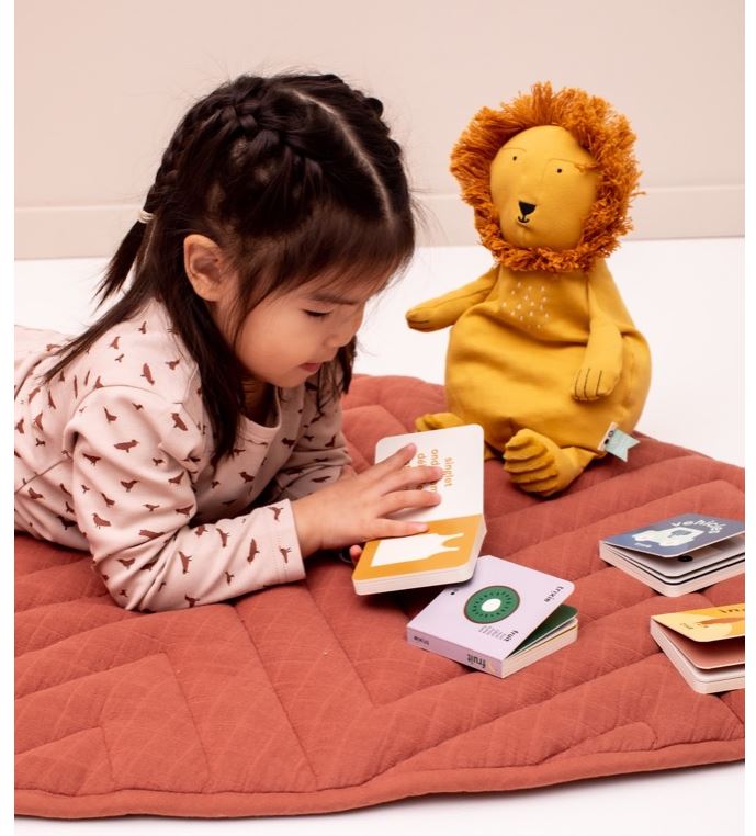 Trixie Little Library - Clothing, Fruit, Vehicles, Instruments - Laadlee