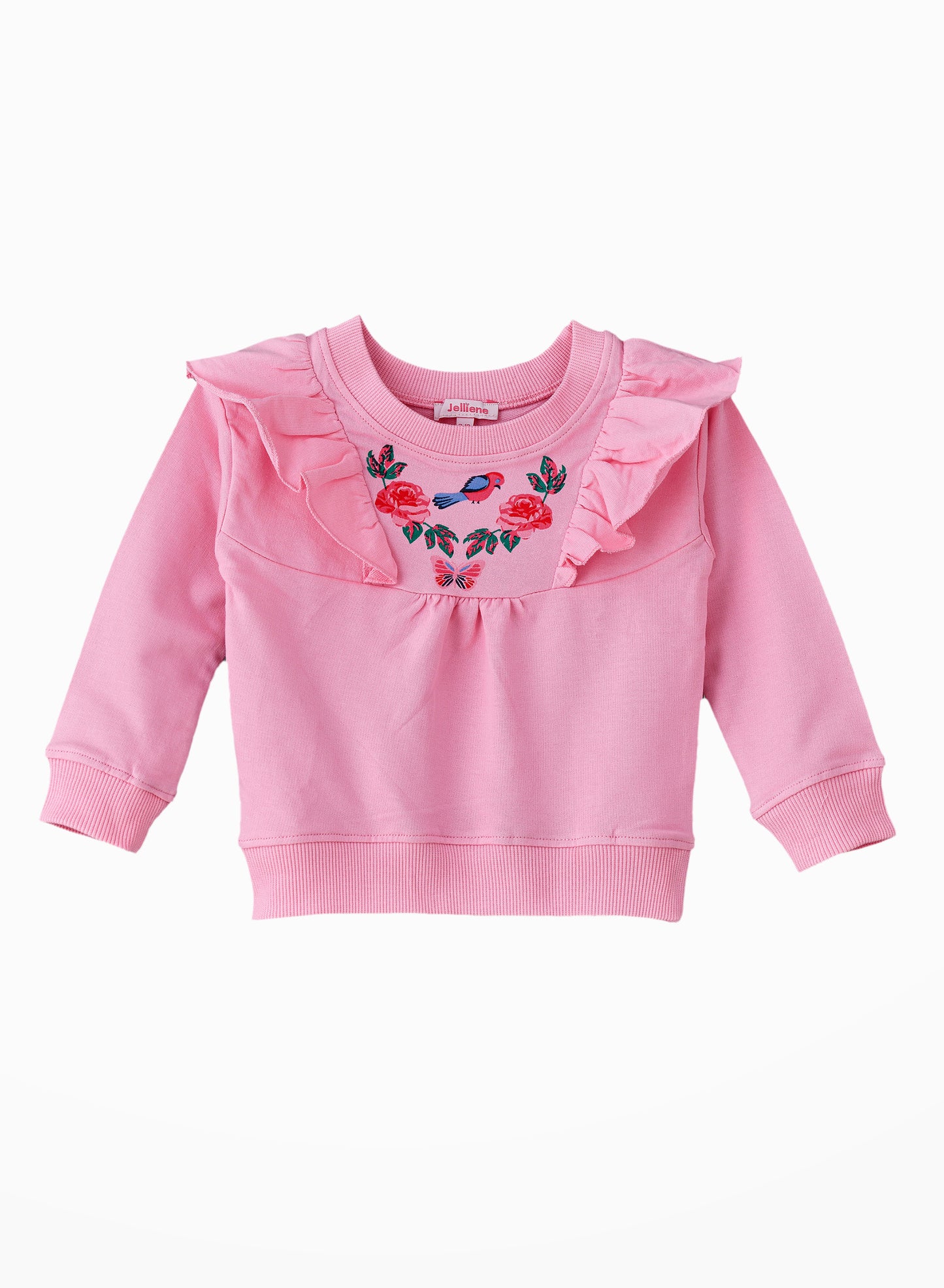 Jelliene Snuggle Worthy Knitted Sweatshirt for Baby Girls