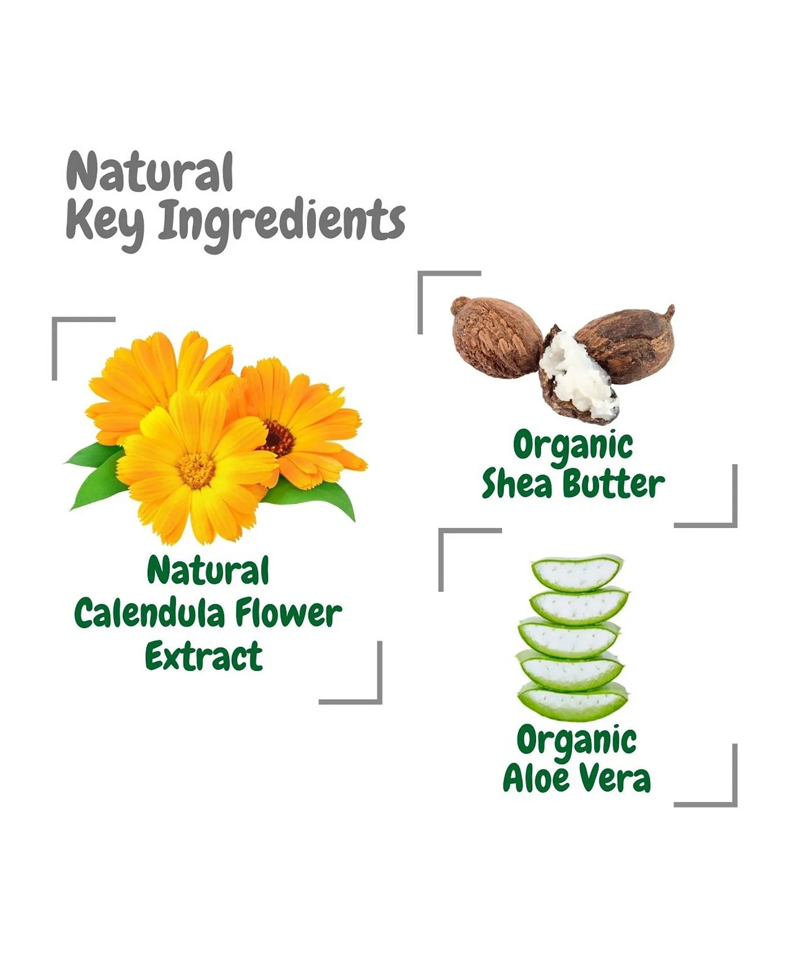 Aleva Naturals First Rescue Calendula + Skin Cream - 50ml - Laadlee