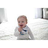 Dr. Brown's Bandana Bib with Teether - Dinosaurs/Blue Drops - Pack of 2 - Laadlee