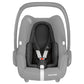 Maxi-Cosi Rock Car Seat Essential - Black