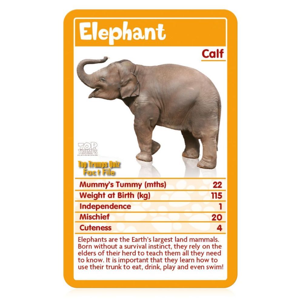 Winning Moves Top Trumps Baby Animals Card