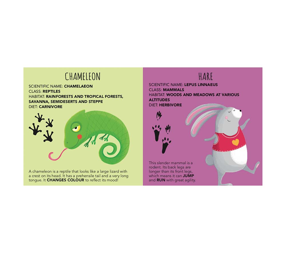 Sassi Edu-Blocks - Animals - Laadlee