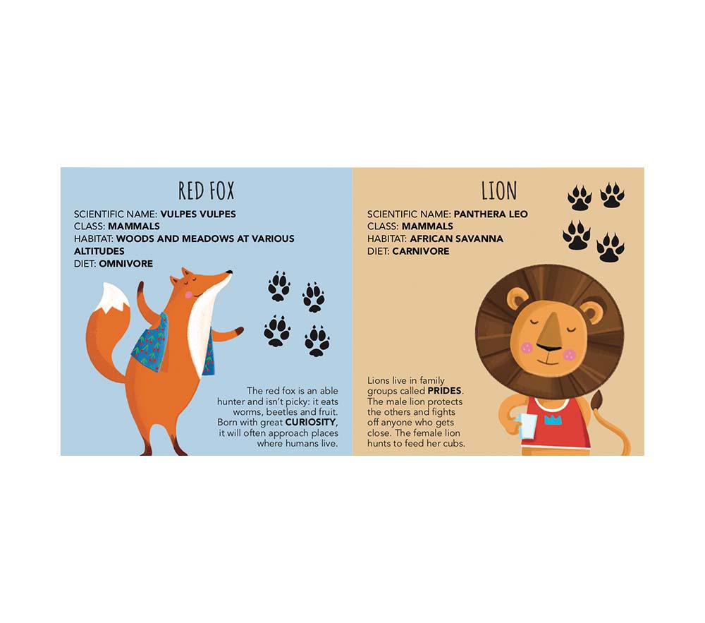 Sassi Edu-Blocks - Animals - Laadlee