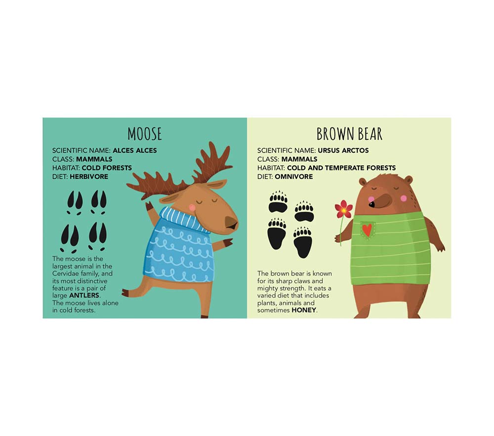 Sassi Edu-Blocks - Animals - Laadlee