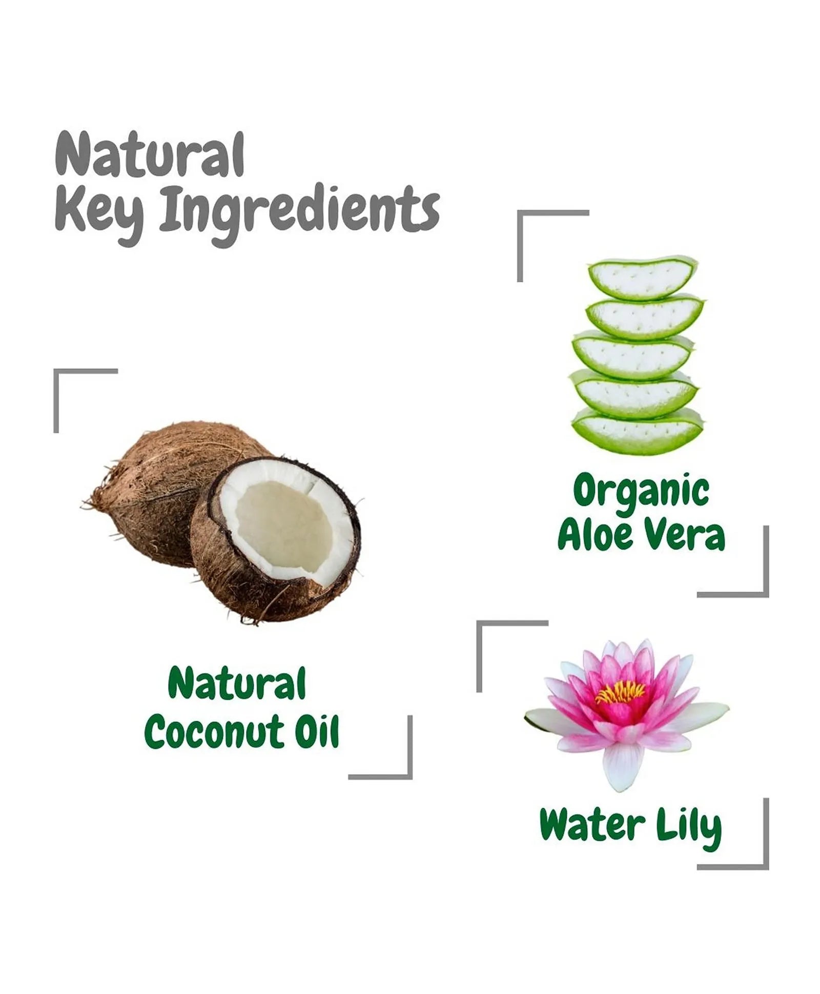 Aleva Naturals Foamimg Hand Wash Water Lily - 300ml - Laadlee